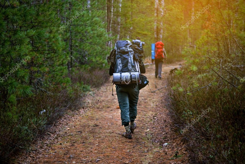 Con Grupo Caminando Las Mochilas Puestas Amigos Espalda De Sol qv6vxwRP