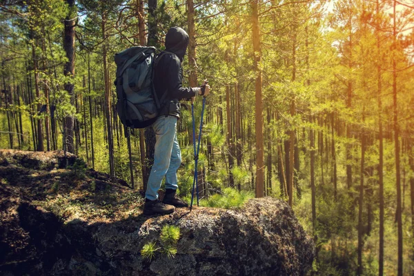 Hiker walking in a mountain forest — Stock Photo, Image