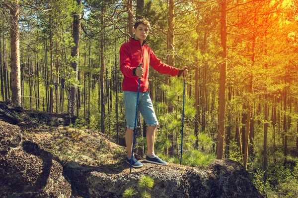 Jovem caminhando na floresta . — Fotografia de Stock