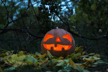 Korkunç Cadılar Bayramı Balkabağı ve eski yönetim kurulu metin için