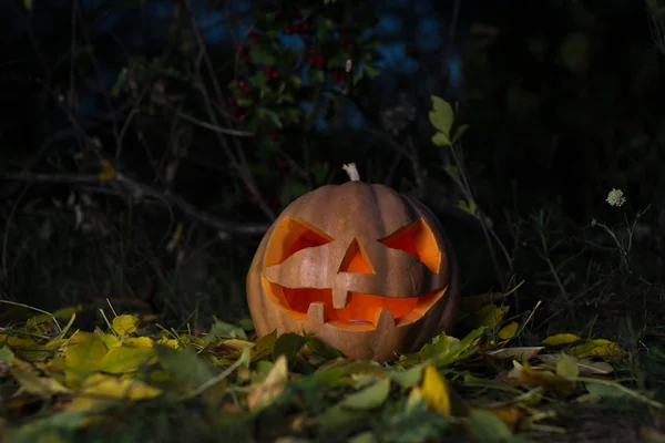 Stock image Scary Halloween pumpkin and the old Board for text