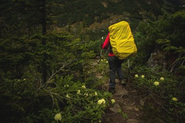 sırt çantası ormanda kızla