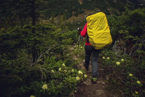 A menina com a mochila na floresta — Fotografia de Stock