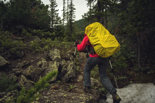 La ragazza con lo zaino nel bosco — Foto Stock