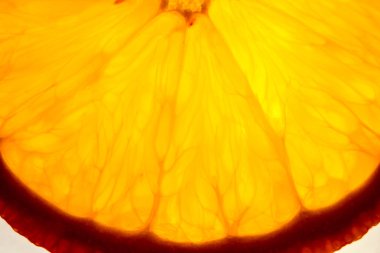 taze turuncu arka plan