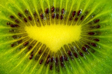 Beyaz arkaplanda Kiwi