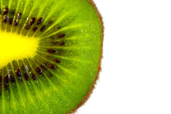 Kiwi on white background — Stock Photo, Image