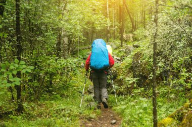 ormanda, dikiz hiking sırt çantası olan adam