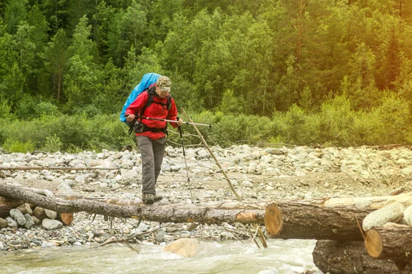 Человек-турист, идущий через реку в лесу — стоковое фото