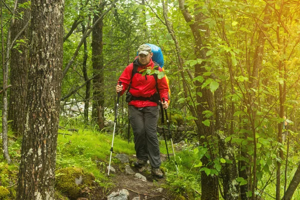 Hombre con mochila senderismo en el bosque — Foto de Stock