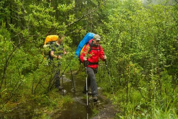 Hombre con mochila senderismo en el bosque — Foto de Stock