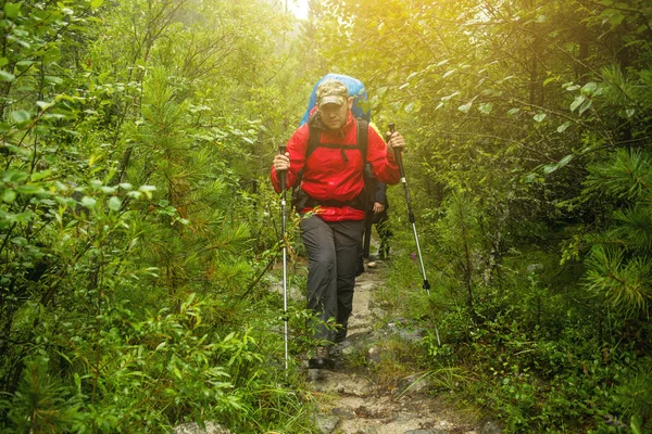 Man with backpack hiking in forest — Stock Photo, Image