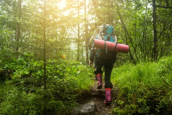 La ragazza con lo zaino nel bosco — Foto Stock