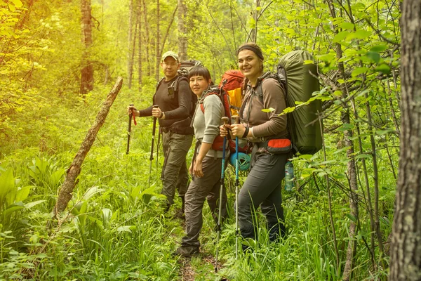 Hikers explore the woods — Stock Photo, Image