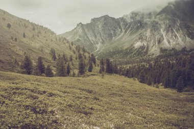 Baykal dağlarda yaz dağ manzarası
