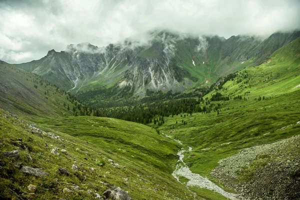 Verão paisagem montanhosa nas montanhas Baikal — Fotografia de Stock