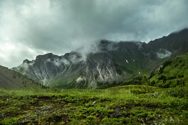 Paisaje de montaña de verano en las montañas Baikal — Foto de Stock