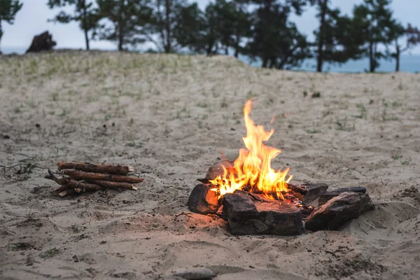 Beach campfire on lake with sand shore.