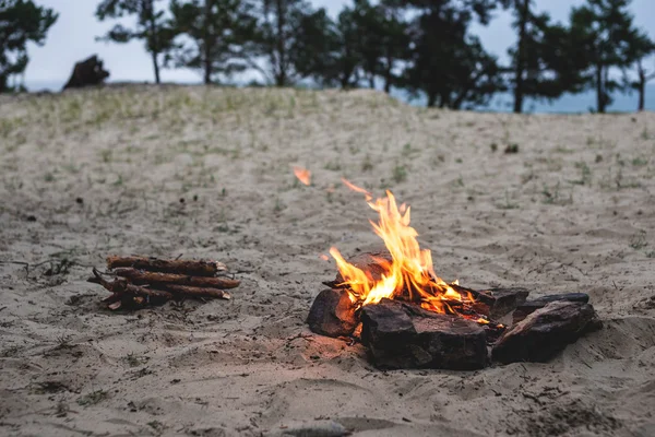 Beach campfire on lake with sand shore.