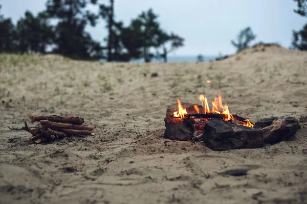 Beach campfire on lake with sand shore.