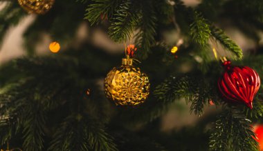 Dallarında kırmızı ve altın oyuncaklar olan güzel bir Noel ağacı. Yeni yıl atmosferi ve şenlik havası kavramı.