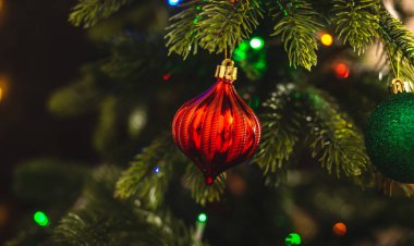 Dallarında kırmızı oyuncak olan güzel bir Noel ağacı. Yeni yıl atmosferi ve şenlik havası kavramı.