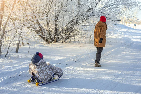 寒い冬の晴れた日にドアの外を歩くそりで子供を引っ張っています そりに毛布に包まれた赤ちゃん — ストック写真