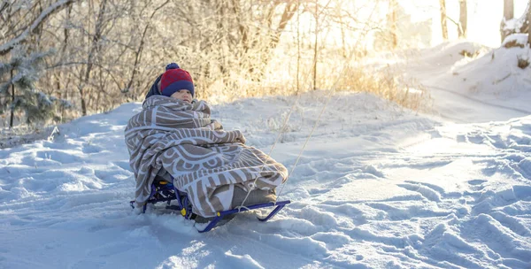 Mamá Está Tirando Niño Trineo Caminando Invierno Helado Día Soleado — Foto de Stock