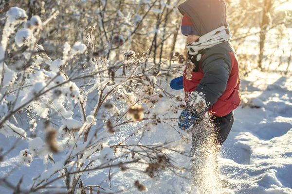 Uma Criança Está Brincando Com Neve Inverno Gelado Dia Ensolarado — Fotografia de Stock