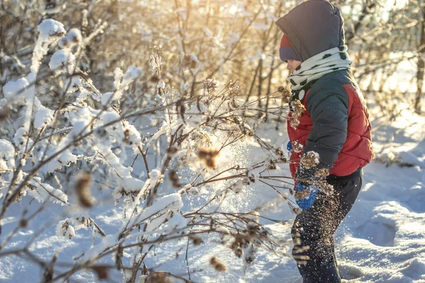 Ребенок Играет Снегом Зимний Морозный Солнечный День Среди Деревьев Открытом — стоковое фото