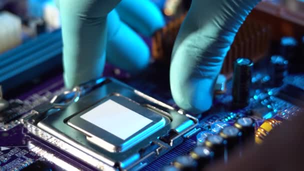 Ingenjör håller hand CPU att sätta i uttaget på moderkortet. Teknik hårdvara och reparation i neonljus — Stockvideo