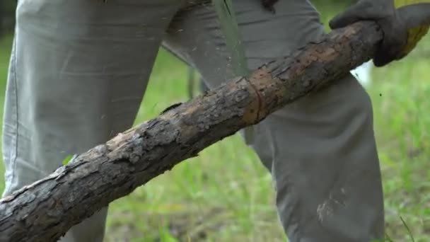 El hombre está aserrando parte seca del árbol para un incendio. Concepto de habilidades de supervivencia en la naturaleza — Vídeos de Stock