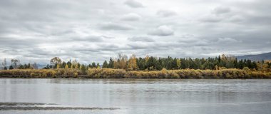 Güz ormanı ve göleti olan güzel doğal manzara. Parlak sarı ve yeşil ağaçlar, sakin bir nehir ve bulutlu bir gökyüzü..