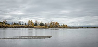 Güz ormanı ve göleti olan güzel doğal manzara. Parlak sarı ağaçlar, sakin bir nehir, köprü ve bulutlu bir gökyüzü.