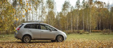 Araba sessiz bir sonbahar ormanında. Altın ağaçlar, zemin parlak sarı yapraklarla kaplı. Seyahat kavramı, güzel doğa ve sonbahar havası.