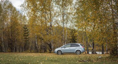 Araba sessiz bir sonbahar ormanında. Altın ağaçlar, zemin parlak sarı yapraklarla kaplı. Seyahat kavramı, güzel doğa ve sonbahar havası.