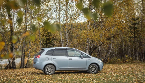 Araba sessiz bir sonbahar ormanında. Altın ağaçlar, zemin parlak sarı yapraklarla kaplı. Seyahat kavramı, güzel doğa ve sonbahar havası.