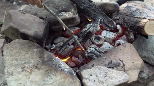 Mano sta mettendo il cibo avvolto nella stagnola nel falò per cucinare un piatto da campeggio sui carboni — Video Stock