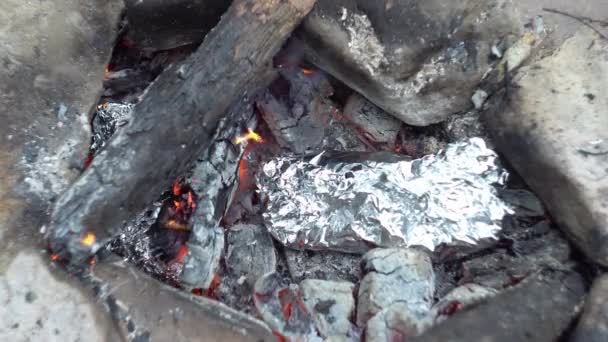 Mano sta mettendo il cibo avvolto nella stagnola nel falò per cucinare un piatto da campeggio sui carboni — Video Stock