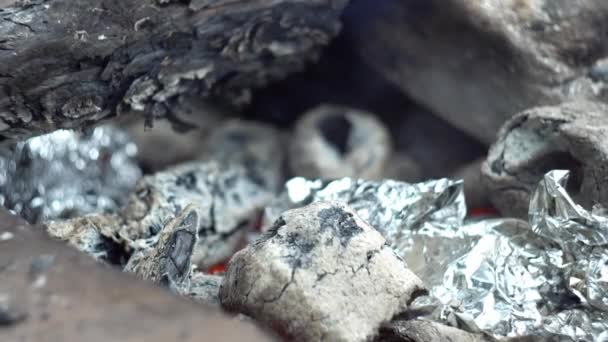 Primo piano di un incendio bruciato, in cui il cibo avvolto in un foglio si sta cuocendo sui carboni — Video Stock