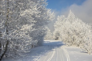 Güzel karlı kış manzarası