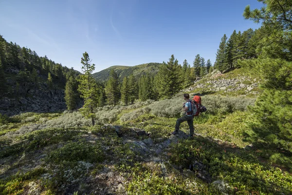 Las colinas de Siberia Khamar Daban — Foto de Stock