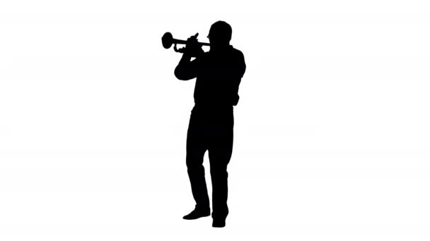 Siluet trompet çalan kıdemli müzisyen. — Stok video