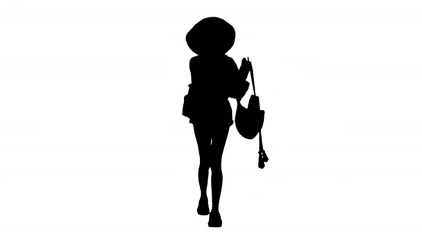 Summer in the city Gyönyörű afro-amerikai nő visel divatos kalap séta, Alpha Channel — Stock videók