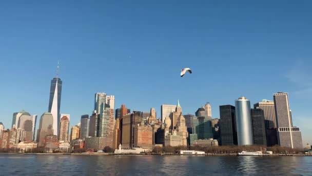 Downtown Manhattan, Θέα στο πάρκο Battery από τον κόλπο, Νέα Υόρκη, ΗΠΑ — Αρχείο Βίντεο