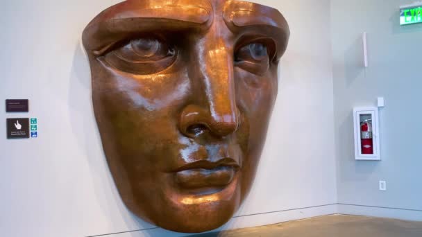 Nova Iorque. 27 dezembro 2019. A cara de cobre de Lady Libertys, o museu da Estátua da Liberdade — Vídeo de Stock