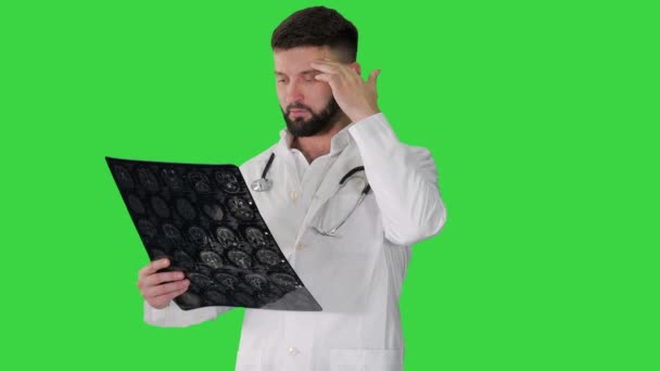 Arzt liest und überprüft eine Kernspintomographie des Gehirns auf einem Green Screen, Chroma Key. — Stockvideo