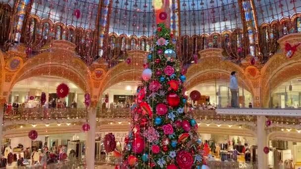 Paris mi? 27 Kasım 2019. Lafayette alışveriş merkezinde güzel bir Noel ağacı, Paris, Fransa — Stok video