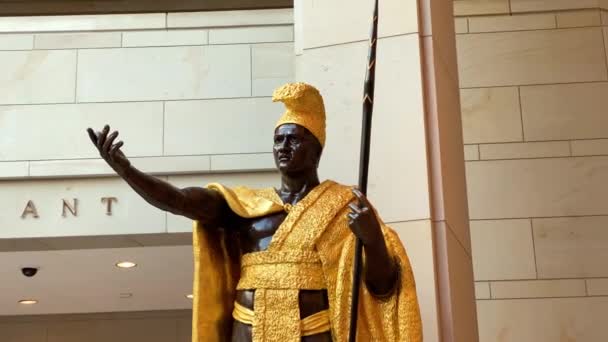 华盛顿Washington.2019年12月29日。卡梅哈梅哈一世国王雕像，位于美国华盛顿特区美国国会大厦 — 图库视频影像
