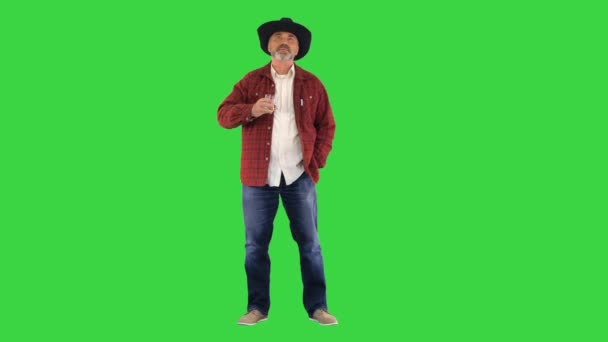 Bärtiger Mann mit Cowboyhut trinkt teuren Whisky auf einem Green Screen, Chroma Key. — Stockvideo